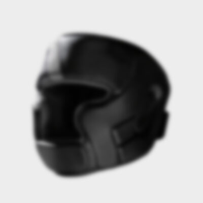 Head Shield