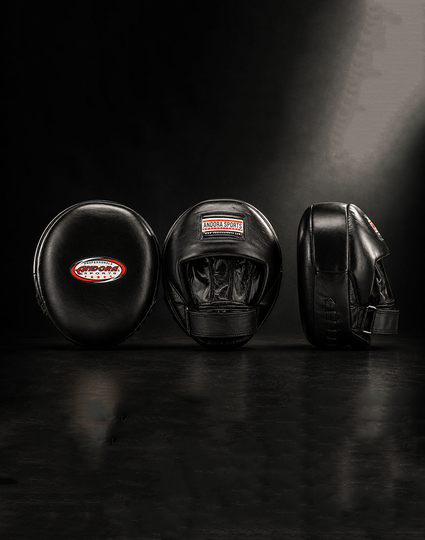 Focus Mitts